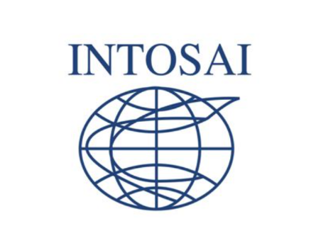 Image for INTOSAI